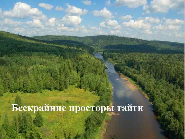 Бескрайние просторы тайги 