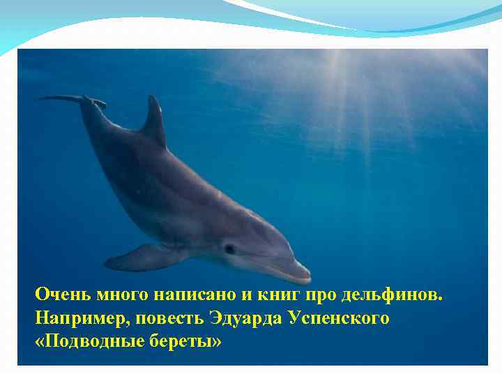 Очень много написано и книг про дельфинов. Например, повесть Эдуарда Успенского «Подводные береты» 