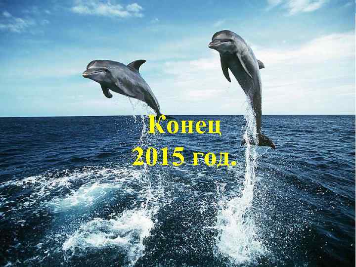 Конец 2015 год. 