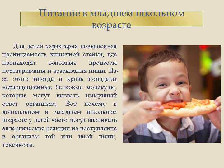 Питание в младшем школьном возрасте Для детей характерна повышенная проницаемость кишечной стенки, где происходят