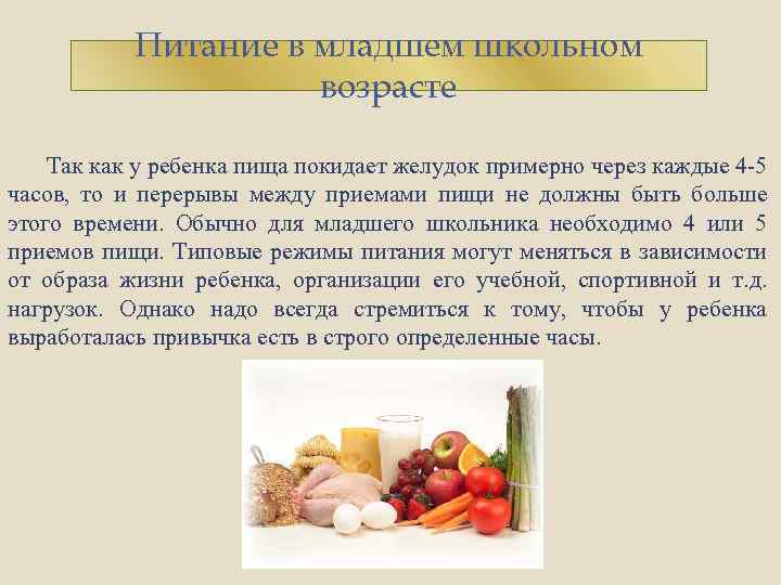 Питание в младшем школьном возрасте Так как у ребенка пища покидает желудок примерно через
