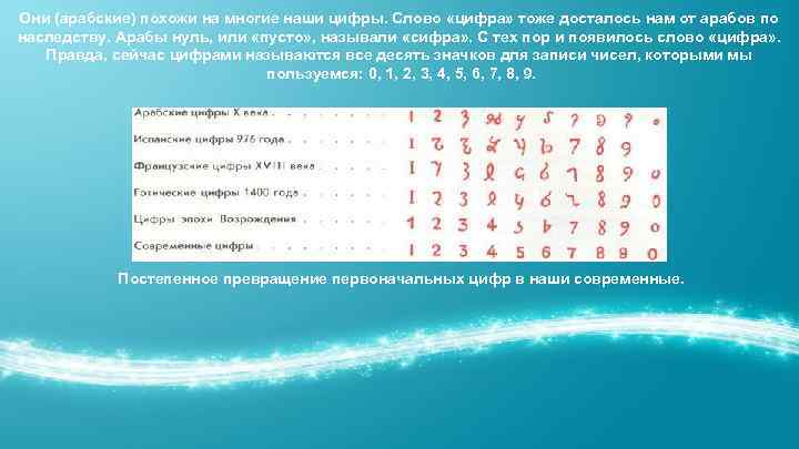 Они (арабские) похожи на многие наши цифры. Слово «цифра» тоже досталось нам от арабов