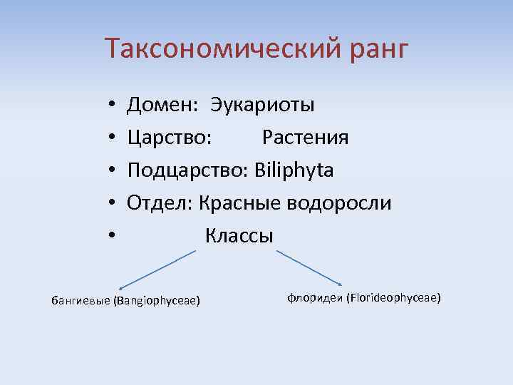 Таксономический ранг • • • Домен: Эукариоты Царство: Растения Подцарство: Biliphyta Отдел: Красные водоросли