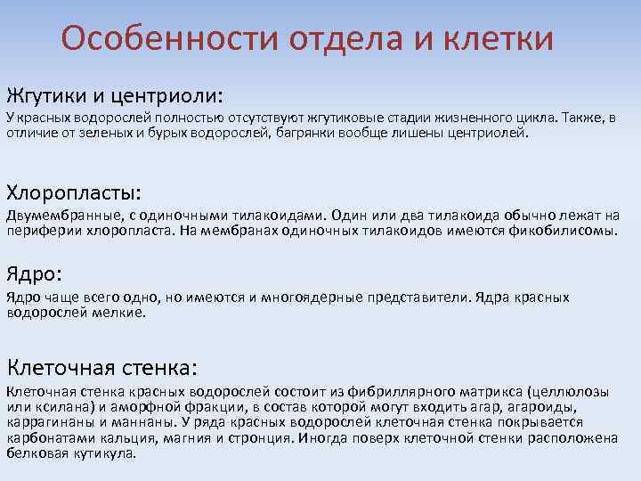 Особенности отдела и клетки Жгутики и центриоли: У красных водорослей полностью отсутствуют жгутиковые стадии