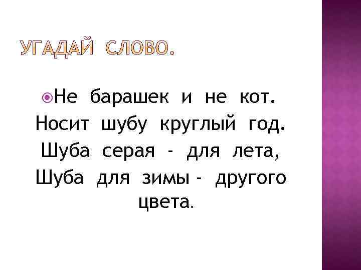  Не барашек и не кот. Носит шубу круглый год. Шуба серая - для