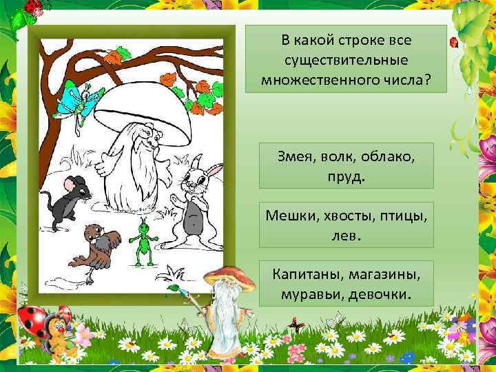 В какой строке все существительные множественного числа? Змея, волк, облако, пруд. Мешки, хвосты, птицы,