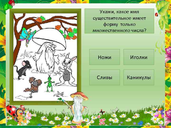 Укажи, какое имя существительное имеет форму только множественного числа? Ножи Иголки Сливы Каникулы 