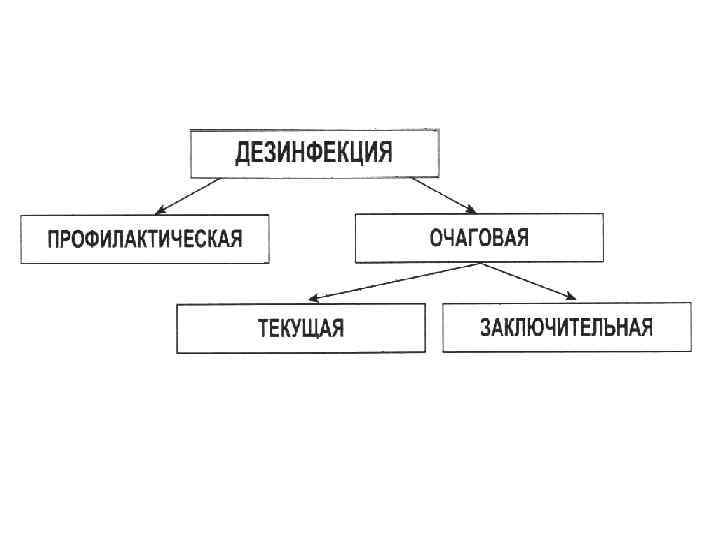 Дезинфекция профилактическая очаговая текущая заключительная