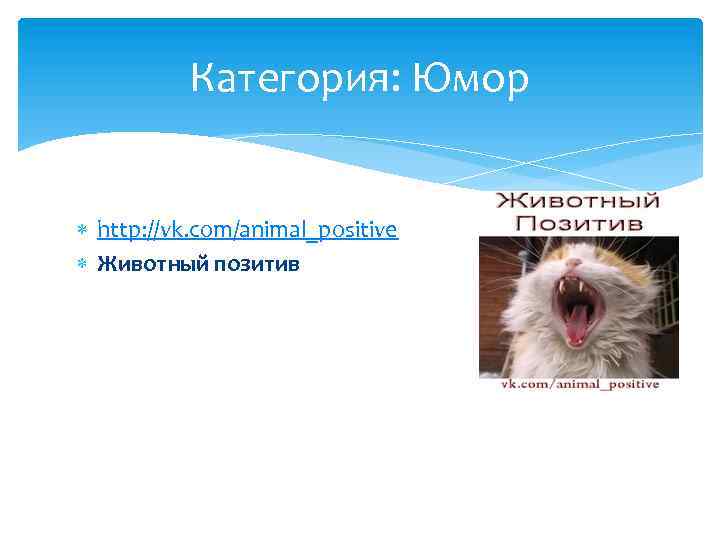 Категория: Юмор http: //vk. com/animal_positive Животный позитив 