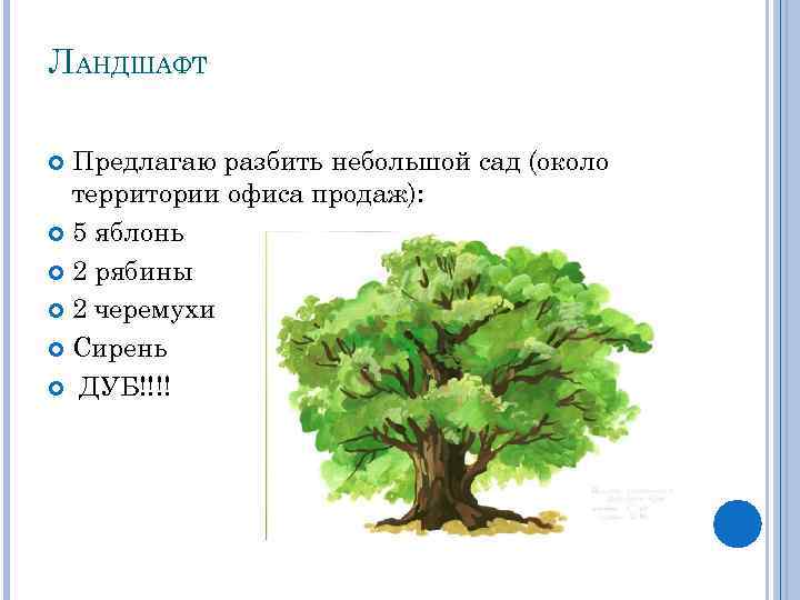 ЛАНДШАФТ Предлагаю разбить небольшой сад (около территории офиса продаж): 5 яблонь 2 рябины 2