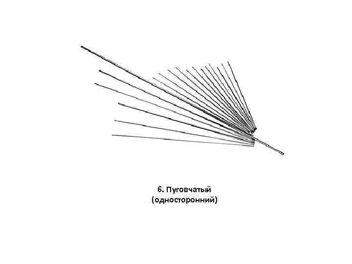 6. Пуговчатый (односторонний) 