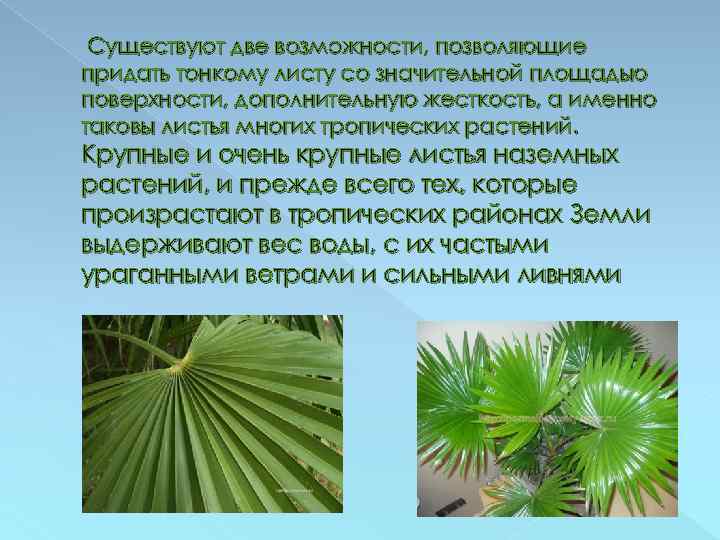 Существуют две возможности, позволяющие придать тонкому листу со значительной площадью поверхности, дополнительную жесткость, а