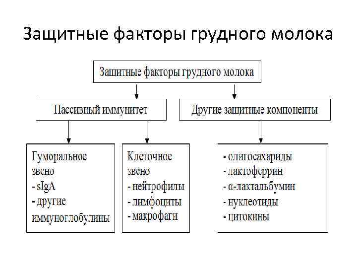 Фактор молока. Грудное молоко содержит следующие защитные факторы. Защитные факторы грудного молока схема. Неспецифические факторы защиты грудного молока. Иммунные факторы грудного женского молока.