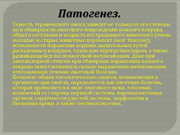 Патогенез. Тяжесть термического ожога зависит не только от его степени, но и обширности ожогового