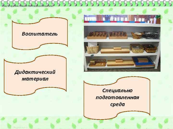 Будучи врачом, Мария Монтессори обратила Воспитатель Дидактический материал Специально подготовленная среда 