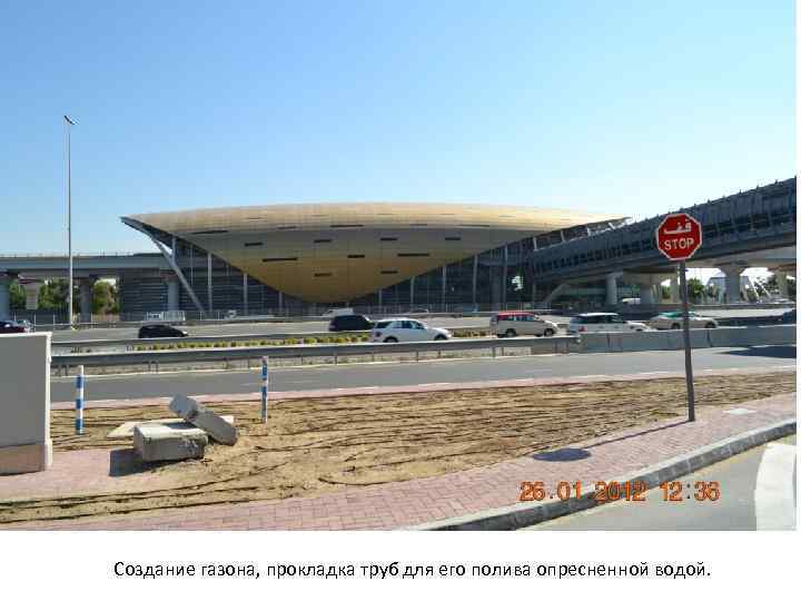 Создание газона, прокладка труб для его полива опресненной водой. 