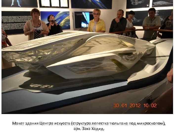 Макет здания Центра искусств (структура лепестка тюльпана под микроскопом), арх. Заха Хадид. 