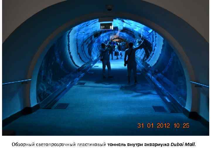 Обзорный светопрозрачный пластиковый тоннель внутри аквариума Dubai Mall. 