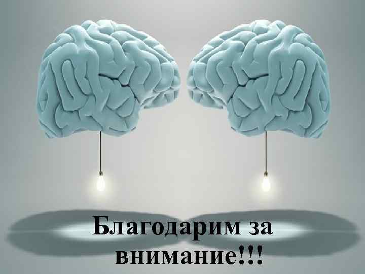 Благодарим за внимание!!! 