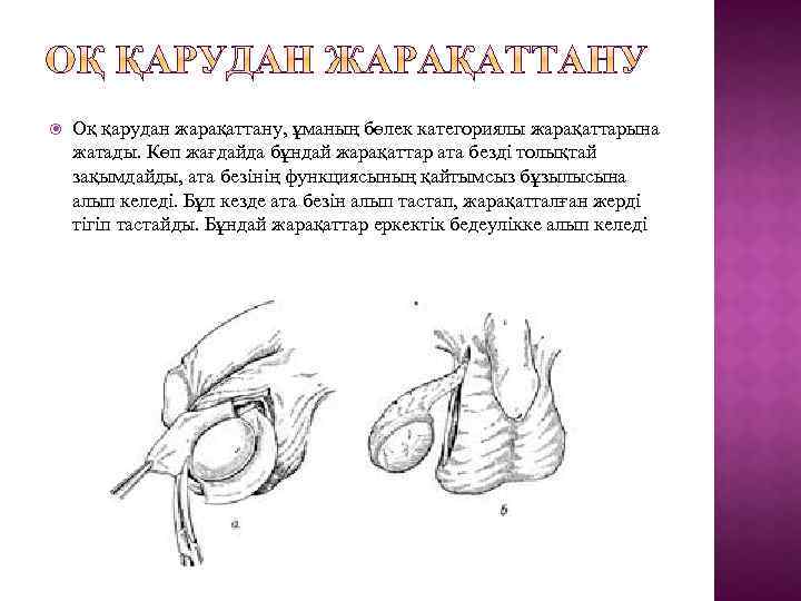  Оқ қарудан жарақаттану, ұманың бөлек категориялы жарақаттарына жатады. Көп жағдайда бұндай жарақаттар ата