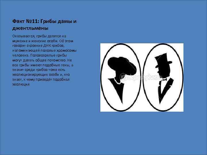 Факт № 11: Грибы дамы и джентльмены Оказывается, грибы делятся на мужские и женские