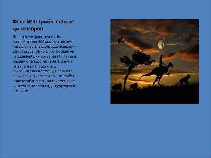 Факт № 3: Грибы старше динозавров Доказан тот факт, что грибы существовали 400 миллионов