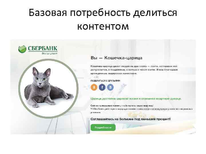 Базовая потребность делиться контентом 