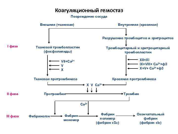 Схема плазменного гемостаза