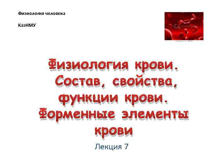 Физиология человека Каз. НМУ Физиология крови. Состав, свойства, функции крови. Форменные элементы крови Лекция