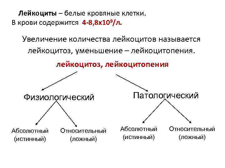 Лейкоциты – белые кровяные клетки. В крови содержится 4 -8, 8 x 109/л. Увеличение