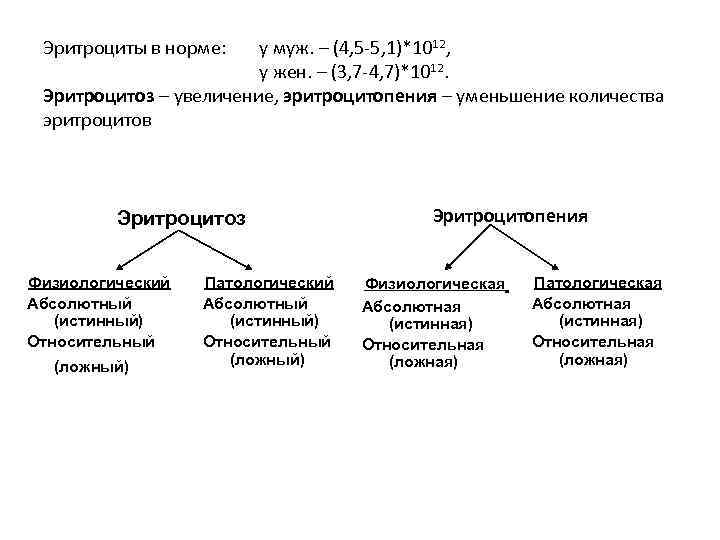 Эритроциты в норме: у муж. – (4, 5 -5, 1)*1012, у жен. – (3,