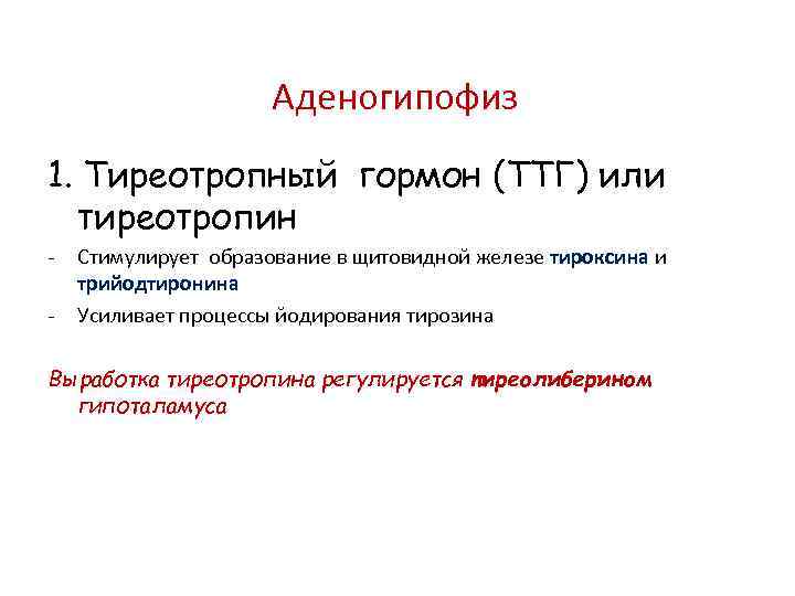 Тиреотропный гормон что. Гормоны аденогипофиза тиреотропин. Тиреотропный гормон физиология. Аденогипофиз тиреотропный. Тиреотропин функции.