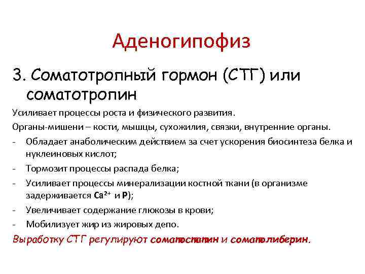 Аденогипофиз 3. Соматотропный гормон (СТГ) или соматотропин Усиливает процессы роста и физического развития. Органы-мишени