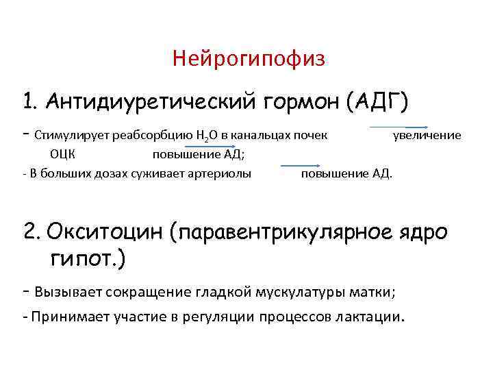 Нейрогипофиз 1. Антидиуретический гормон (АДГ) - Стимулирует реабсорбцию Н 2 О в канальцах почек