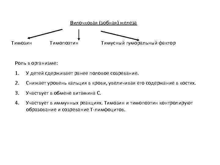 Вилочковая (зобная) железа Тимозин Тимопоэтин Тимусный гуморальный фактор Роль в организме: 1. У детей