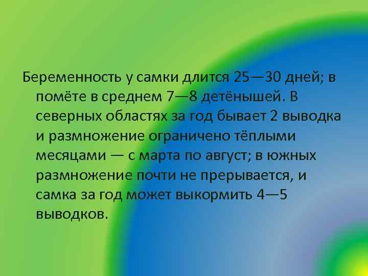 Беременность у самки длится 25— 30 дней; в помёте в среднем 7— 8 детёнышей.