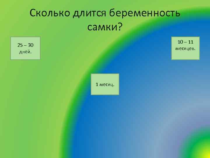Сколько длится беременность самки? 10 – 11 месяцев. 25 – 30 дней. 1 месяц.