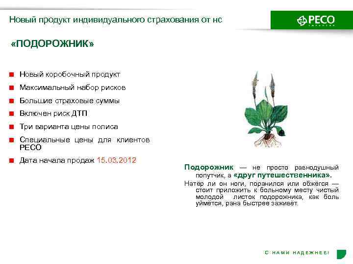 Новый продукт индивидуального страхования от нс «ПОДОРОЖНИК» Новый коробочный продукт Максимальный набор рисков Большие