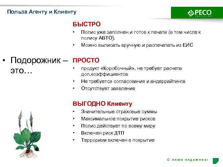 Польза Агенту и Клиенту БЫСТРО • • • Подорожник – это… Полис уже заполнен