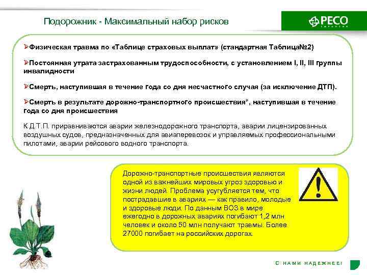 Подорожник - Максимальный набор рисков ØФизическая травма по «Таблице страховых выплат» (стандартная Таблица№ 2)