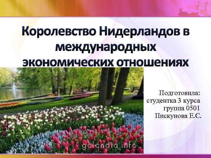 Королевство Нидерландов в международных экономических отношениях Подготовила: студентка 3 курса группа 0501 Пискунова Е.