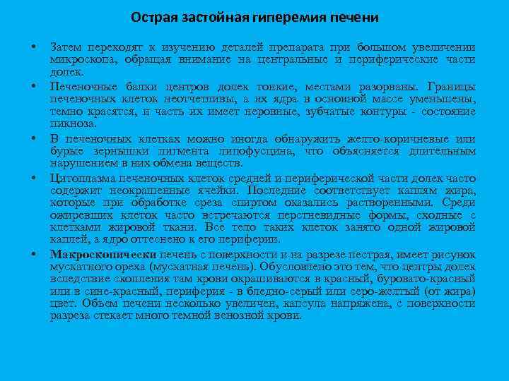 Острая застойная гиперемия печени • • • Затем переходят к изучению деталей препарата при