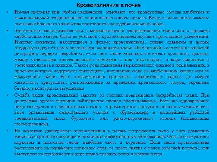 Кровоизлияние в почке • • Изучая препарат при слабом увеличении, отмечают, что кровеносные сосуды