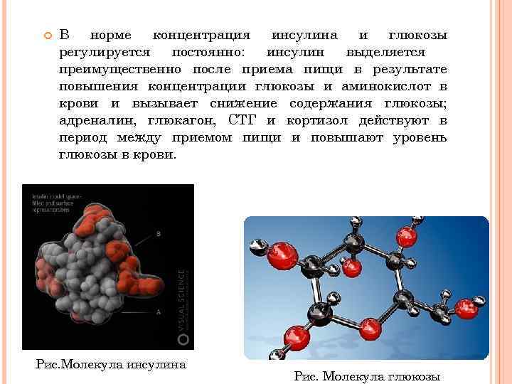  В норме концентрация инсулина и глюкозы регулируется постоянно: инсулин выделяется преимущественно после приема