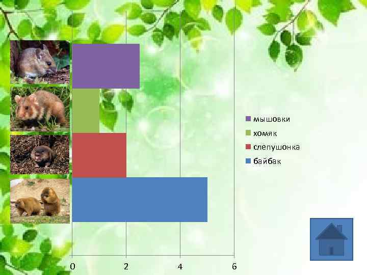 мышовки хомяк слепушонка байбак 0 2 4 6 