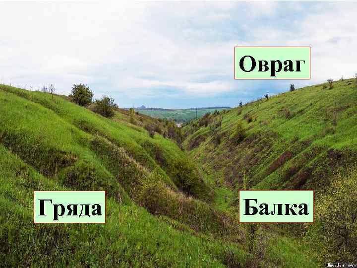 Овраг Гряда Балка 