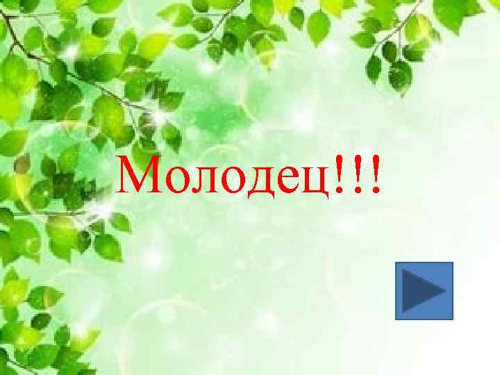 Молодец!!! 