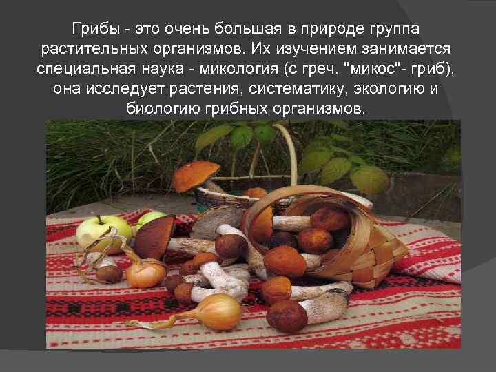 Грибы - это очень большая в природе группа растительных организмов. Их изучением занимается специальная