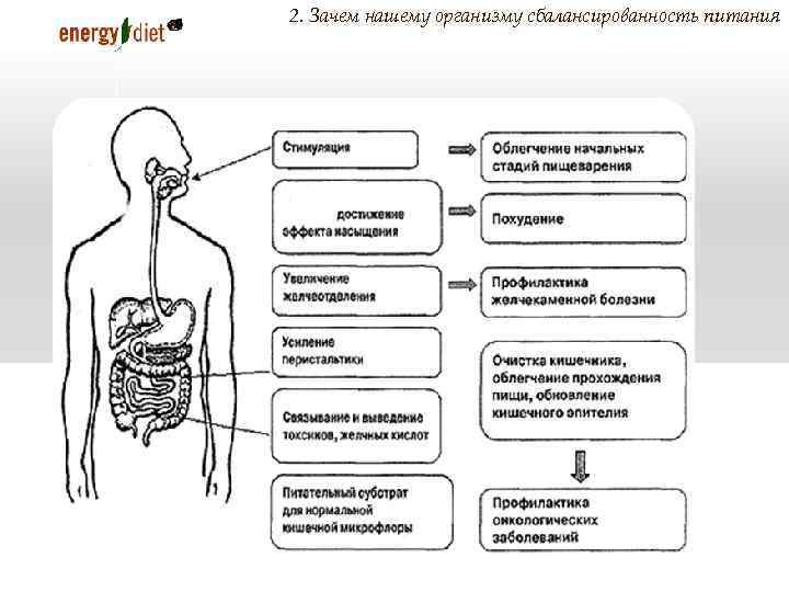 2. Зачем нашему организму сбалансированность питания 