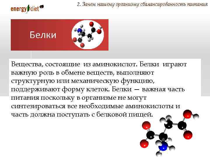 2. Зачем нашему организму сбалансированность питания Белки Вещества, состоящие из аминокислот. Белки играют важную